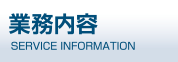 Ɩe@SERVICE INFORMATION